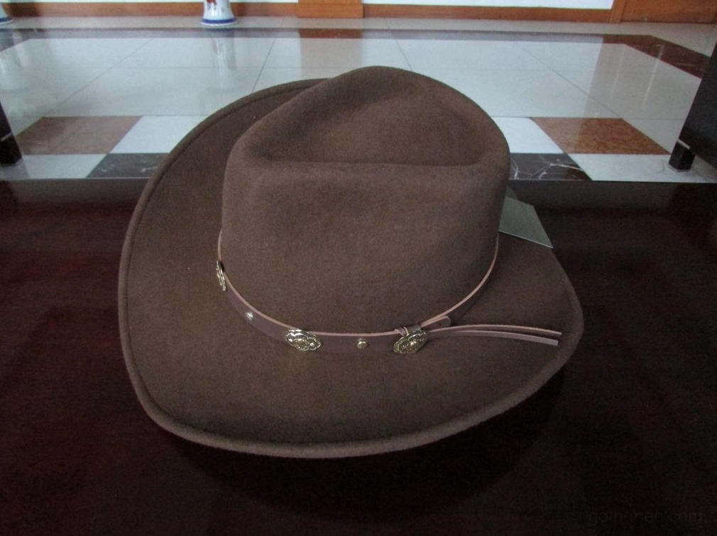 Brown wide-brimmed gothic cowboy hat left side view featuring light brown wool fabric and metal-adorned leather strap