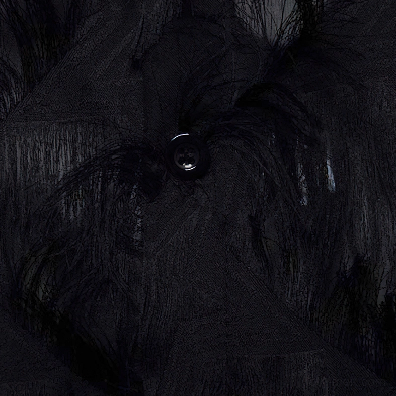 Black feather lace shirt button fastener and frayed texture detail flat lay close-up